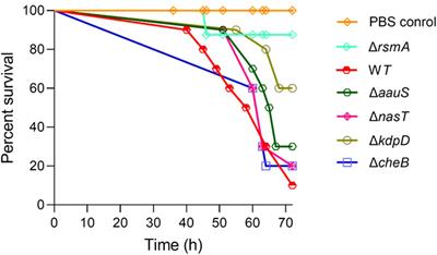 Sensor histidine kinases kdpD and aauS regulate biofilm and virulence in Pseudomonas aeruginosa PA14